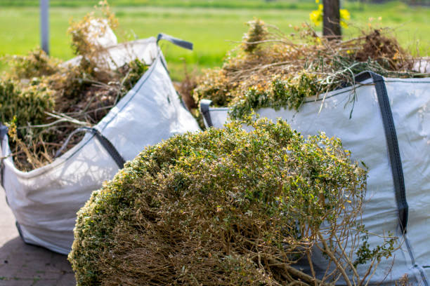 Best Trash Removal Near Me  in New Concord, OH