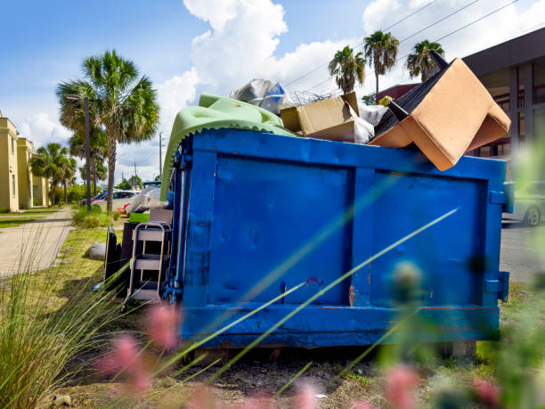 Debris Removal in New Concord, OH